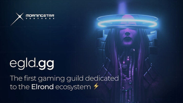 Morningstar Ventures launches gaming guild focused On Elrond. 